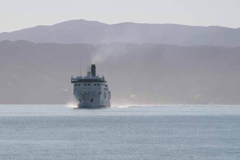 Nieuw-Zeeland 2011 - 0925